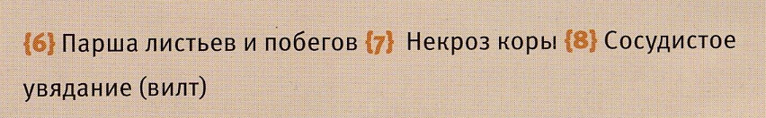 «ТИПЫ БОЛЕЗНЕЙ ДРЕВЕСНЫХ РАСТЕНИЙ»
