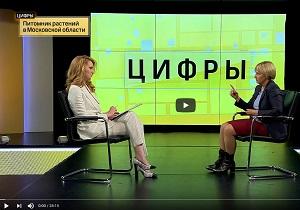 О питомнике (интервью генерального директора Ирины Савватеевой телеканалу "360")