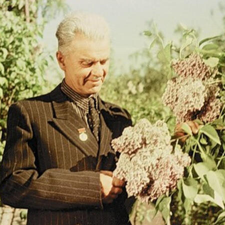 Леонид Алексеевич Колесников и его сиреневый сад