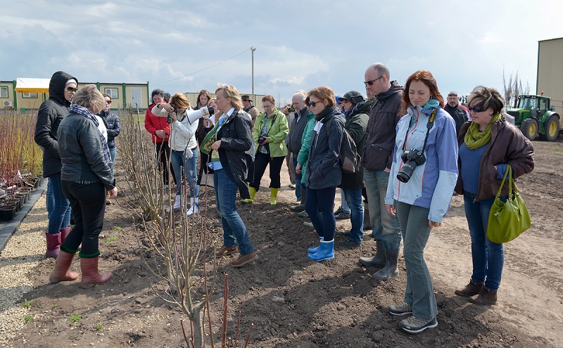 Московский Ландшафтный Клуб в гостях в тульском отделении «Питомника Савватеевых»