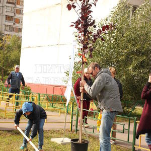 Сделаем Москву Парком