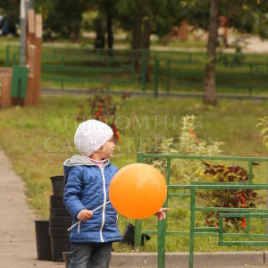 Сделаем Москву Парком