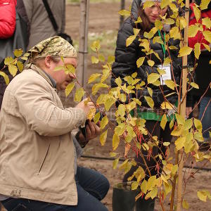 День Открытых дверей 13 октября 2015