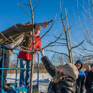 Семинар в Подмосковном отделении 17-18 февраля 2016 г.