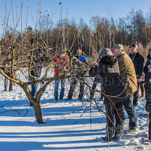 Семинар в Подмосковном отделении 17-18 февраля 2016 г.