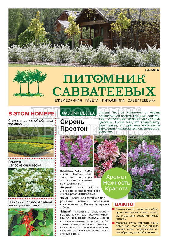 Этой весной мы приняли решение выпускать ежемесячную газету «Питомника Савватеевых»