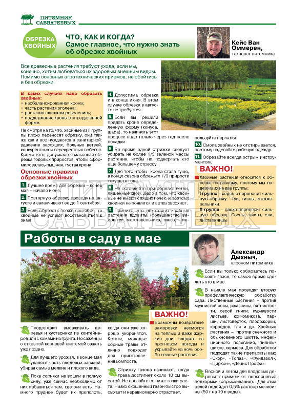 Этой весной мы приняли решение выпускать ежемесячную газету «Питомника Савватеевых»