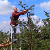 Андрей Дарусенков