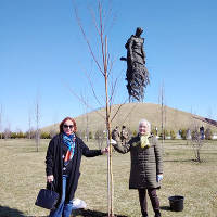Международная акция «Сад памяти» - посадка наших берез на Ржевском мемориале Советскому Солдату.