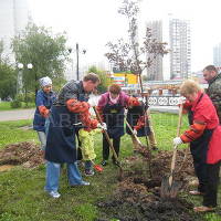 В Москве в день города посадили более 500 деревьев