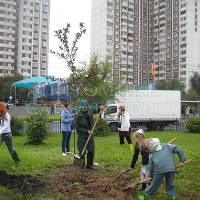 В Москве в день города посадили более 500 деревьев