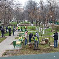 Городской парк готовят к посадкам деревьев.