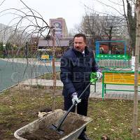 Глава г. Реутова Александр Ходырев сажает деревья в городском парке.
