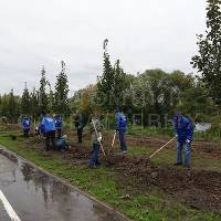 В Тульской области дан старт экологической акции "Кислород городам!"