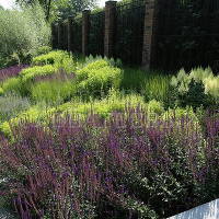 Семинар «Экологический подход к созданию современных садов»