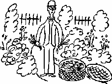 Август садовода